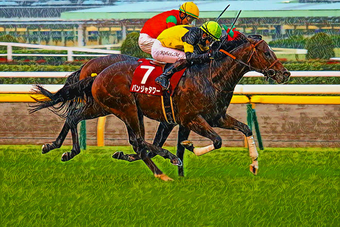 京王杯２歳Ｓ 2025【穴馬/予想】パンジャタワーに続け！最も「底知れない馬」は誰だ！？主な出走馬の解説も