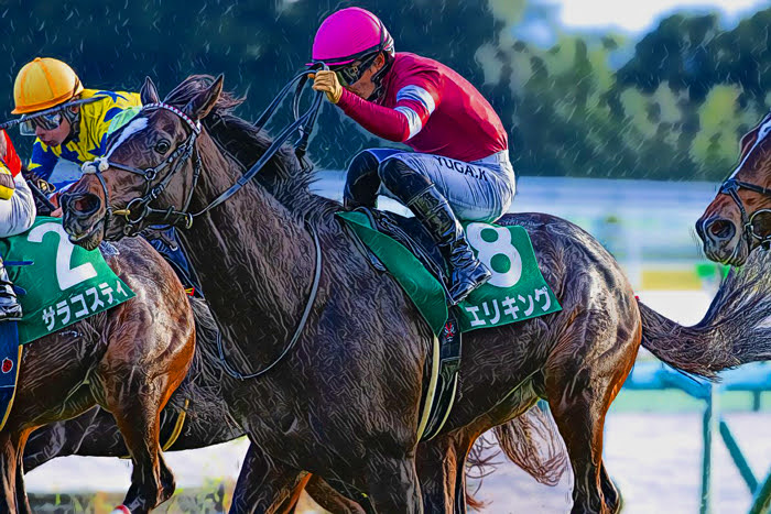 京都２歳Ｓ 2025【穴馬/予想】狙うなら「王道型」にこだわれ！主な出走予定馬のご紹介も