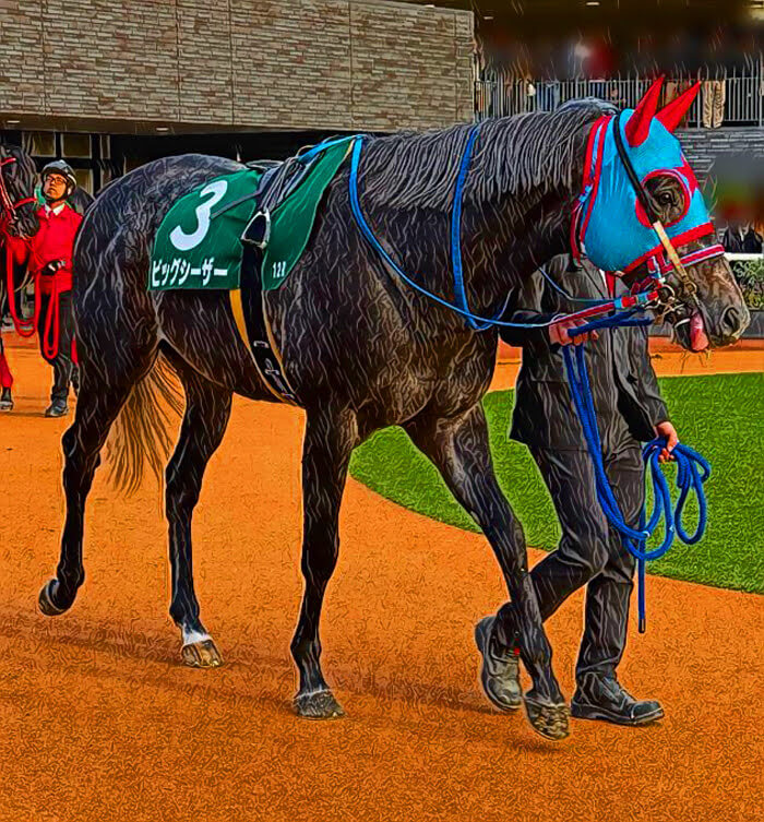 京阪杯 2025【穴馬/予想】ジャパンCのあとにもう一本！夢馬券のキーワードは「◯◯に合う馬を探せ」