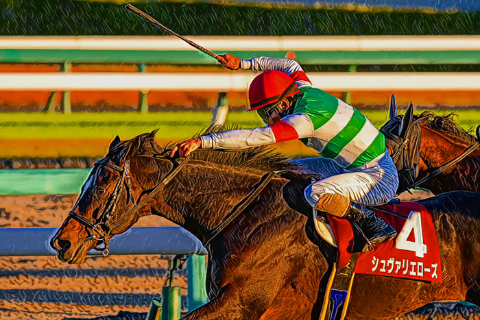 ステイヤーズＳ 2025【穴馬/予想】長距離戦はキングＳにお任せ！攻略への糸口は「◯◯」にあり！