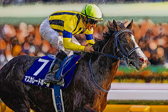 【先週の重賞回顧】天皇賞秋 2025 など⇒勝ち馬の素晴らしさは当然だが、、、ただ「あの馬」の走りにも心底驚いた！