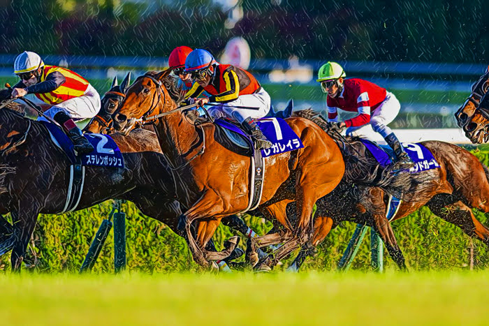 【先週の重賞回顧】エリザベス女王杯 2025 など⇒「真のガチンコレース」評価すべき馬とは?その他、先週の各重賞の振り返りも