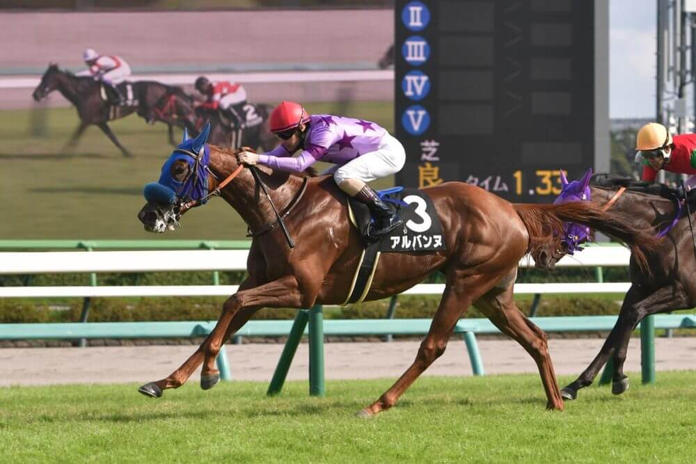 枠順確定】阪神JF 2025【予想／穴馬】レース史上屈指の大混戦！腹を