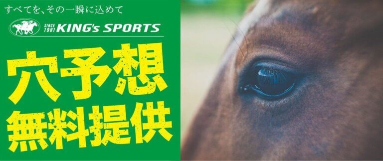 【無料公開】12/14（日）中山12Ｒ 【最終レース】→阪神ＪＦのあとにもう１本！攻めの最終レースで高配当に挑む！