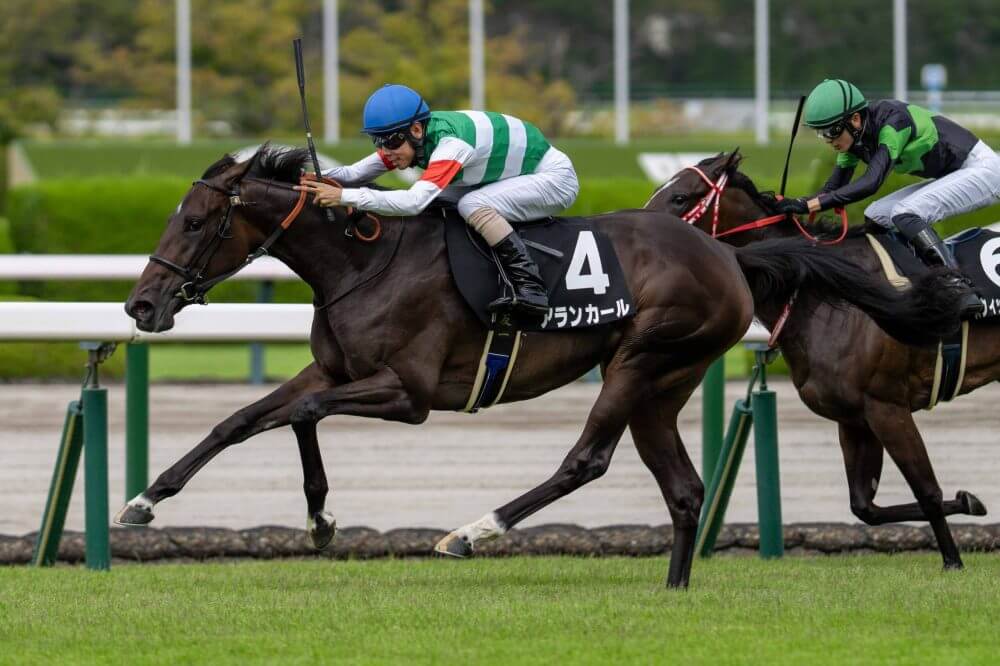 枠順確定】阪神JF 2025【予想／穴馬】レース史上屈指の大混戦！腹を