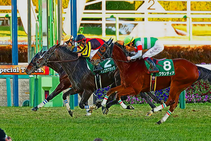 【先週の重賞回顧】中山金杯＆京都金杯 2026⇒回顧のコラムは「こんな使い方をしてほしい」＆今後に期待の存在も