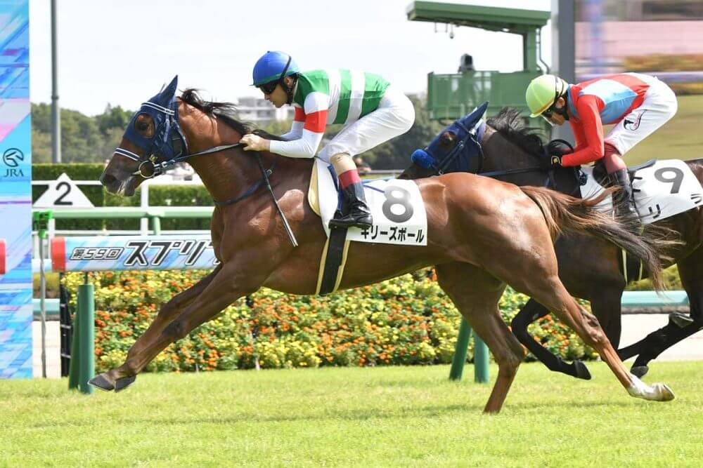 フェアリーS 2026【穴馬/予想】1/10（土）の大勝利に続く「2年連続的