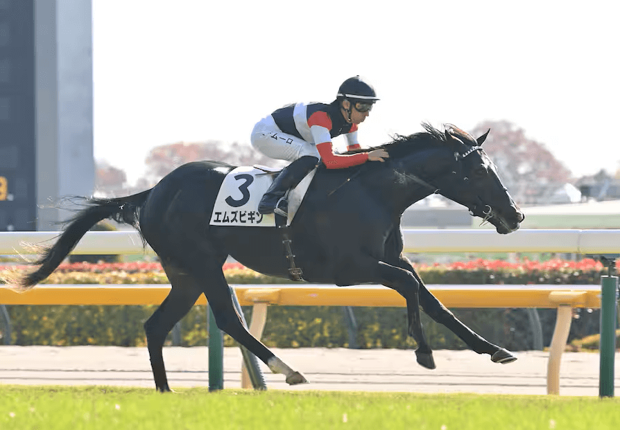 枠順確定】2/10（火）きさらぎ賞 2026【穴馬/予想】（土）勝負レースで